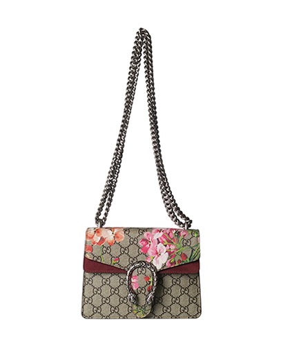 Dionysus GG Blooms Mini Bag, front view